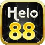 Hello 88