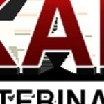 kainervetcare kainervetcare