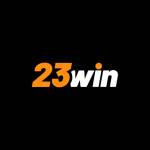 23WIN llc