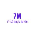 7m Tỷ số