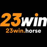 23WIN