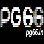 PG66 IN