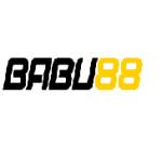 babu 88io
