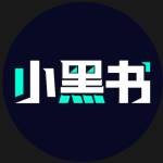 黑书 小